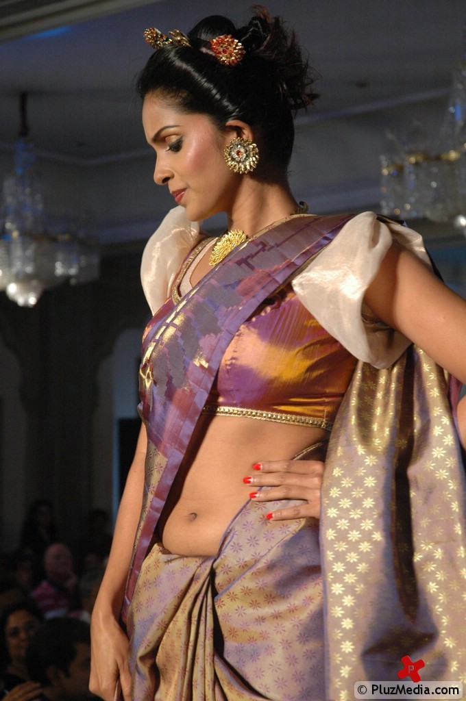 Palam Silk Fashion Show 2011 Pictures | Picture 74241